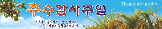 추수감사절현수막-9번(사이즈500*90)