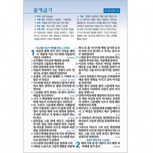 [기획성경] (비치용 기본 인쇄) 성경전서 NKR73STH (개역개정/새찬송가/무지퍼/색인/중/초코) (16826)
