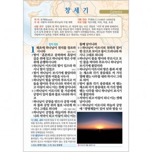 천연가죽 고급판 빅컬러성경 개역개정 새찬송가 대/색인/지퍼/초코(10198)
