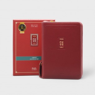 개역개정 우피 큰글성경 소 합본 레드 / 3124056