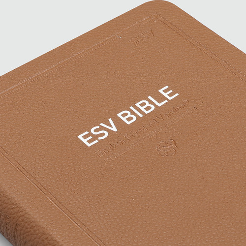 영문 ESV BIBLE 중 단본 무지퍼 브라운 / 7523232